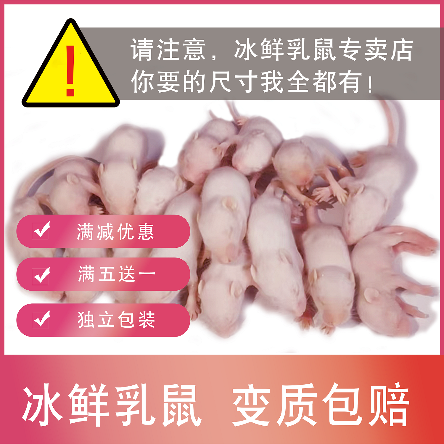 小白鼠冷冻乳鼠红皮粉皮白霜喂养爬宠宠物饲料蛇蛙蜥蜴守宫龟猫食-封面