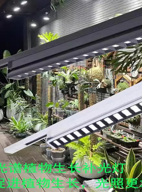 植物生长灯全光谱多肉补光灯上色室内蝴蝶兰鹿角蕨补光灯led