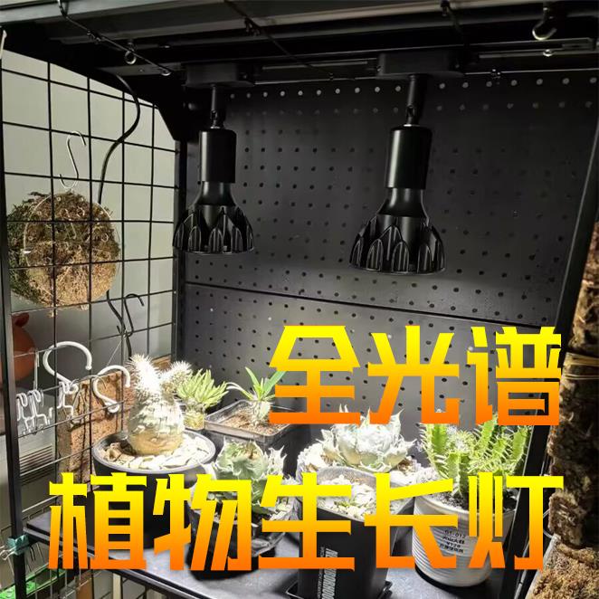 led全光谱植物补光灯块根龙舌兰鹿角蕨多肉热植生长灯鱼缸爆藻灯