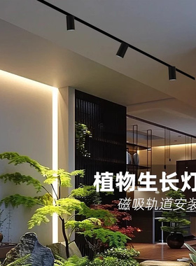 全光谱植物生长灯led磁吸轨道射灯室内绿植补光灯自然光