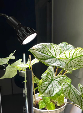 全光谱植物补光灯太阳光室内绿植盆栽块根夹子式家用植物生长灯