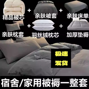 垫子被芯全套一整套被子冬加厚保暖棉被褥单双人学生宿舍六八件套