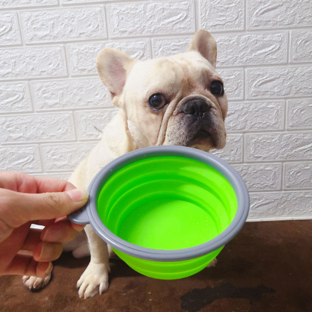 狗盆狗碗猫食碗宠物食盆单碗饭盘喝水外出折叠便携碗法斗英斗巴哥