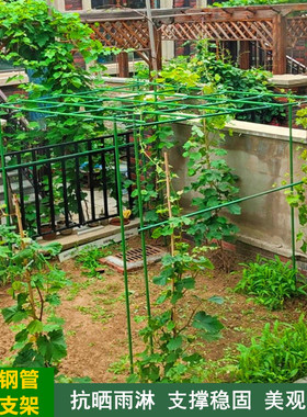 葡萄架包塑钢管支架百香果植物花架子室外庭院架杆豆角黄瓜爬藤架
