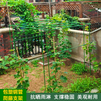 葡萄架包塑钢管支架百香果植物花架子室外庭院架杆豆角黄瓜爬藤架