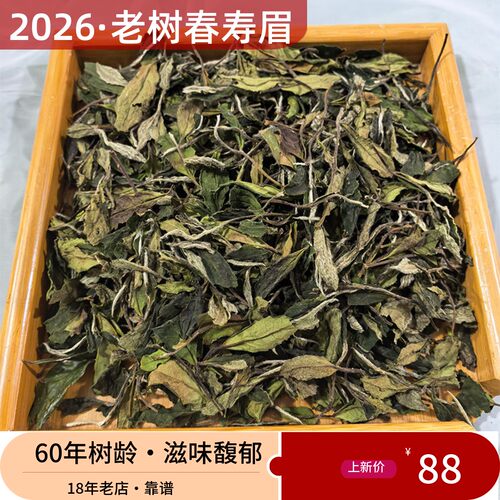 福鼎大毫茶2026春寿眉500克