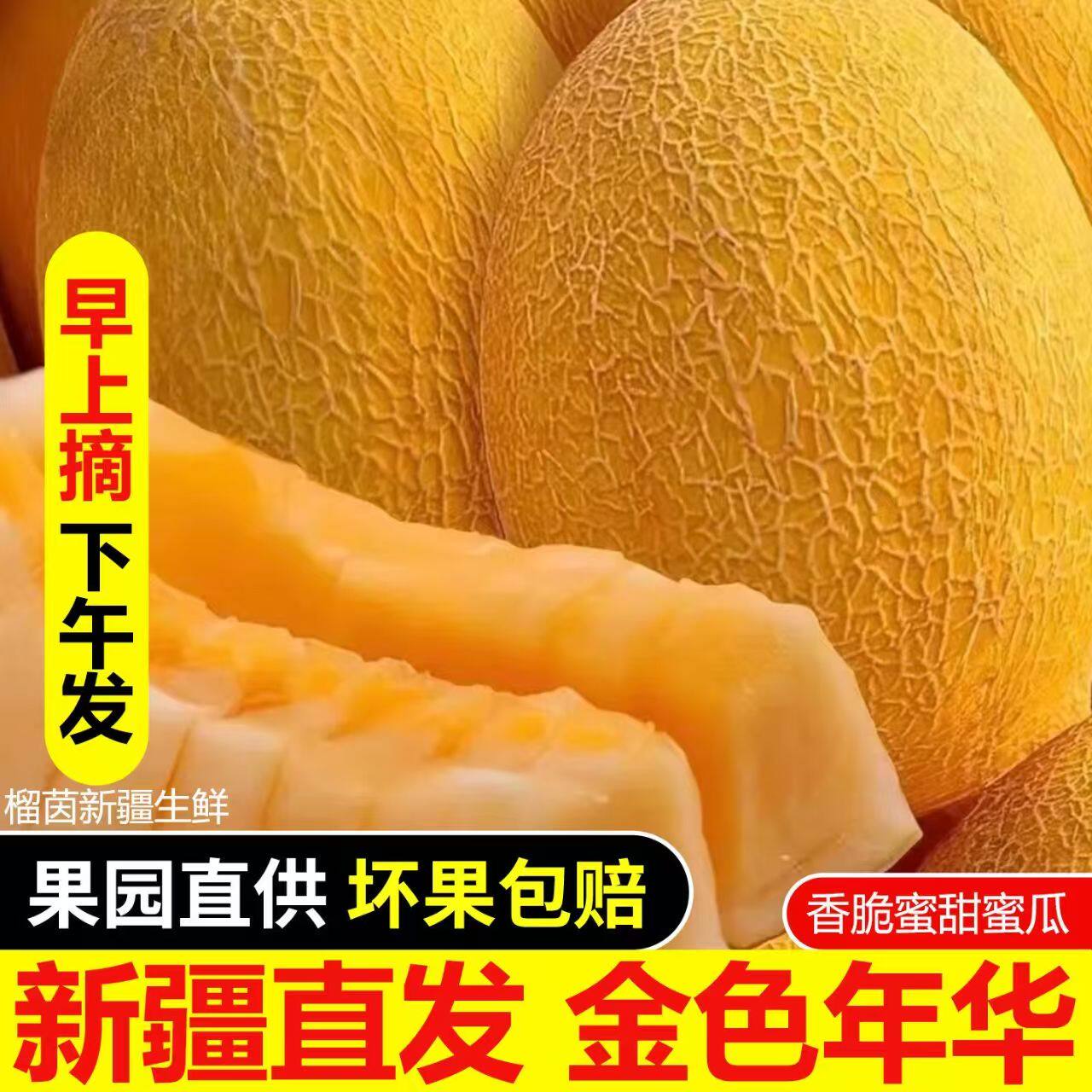 新疆黄金哈密瓜新鲜当季水果吐鲁番特产甜瓜黄皮金色年华鲜果陆运