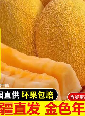 新疆黄金哈密瓜新鲜当季水果吐鲁番特产甜瓜黄皮金色年华鲜果陆运