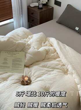 双倍保暖很轻发热快 5斤被子冬被加厚棉被芯2025冬季单人机洗双人