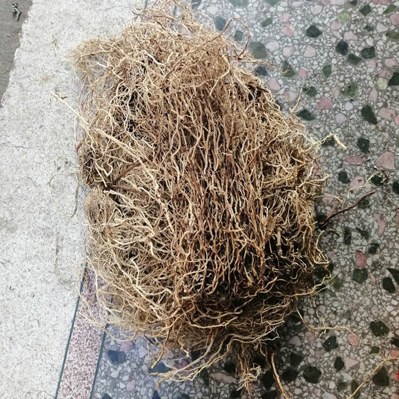 客家竹春根藤牛尾菜根500克牛尾蕨决马尾伸根 鲤鱼须大伸筋草煲汤