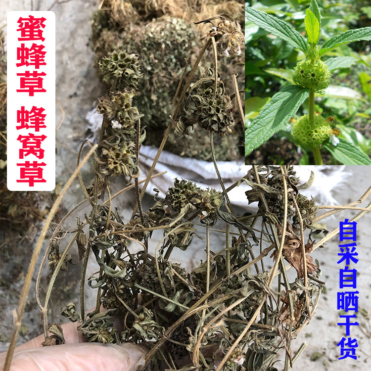 新晒新鲜 蜂窝草 半夜花草 绉面草 防风草 蜜蜂草 拂风草500g包邮