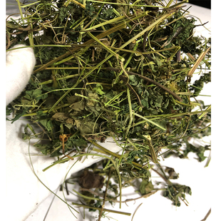 新晒新鲜  倒地铃 干三角泡 炮卜草 包袱草 中草药干品500g包邮