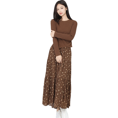 金苑连衣裙套装两件套韩版百搭