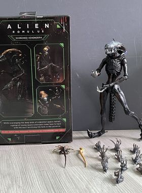 NECA 异形  夺命舰 罗慕路斯 Romulus 终极异形 可动手办全新现货