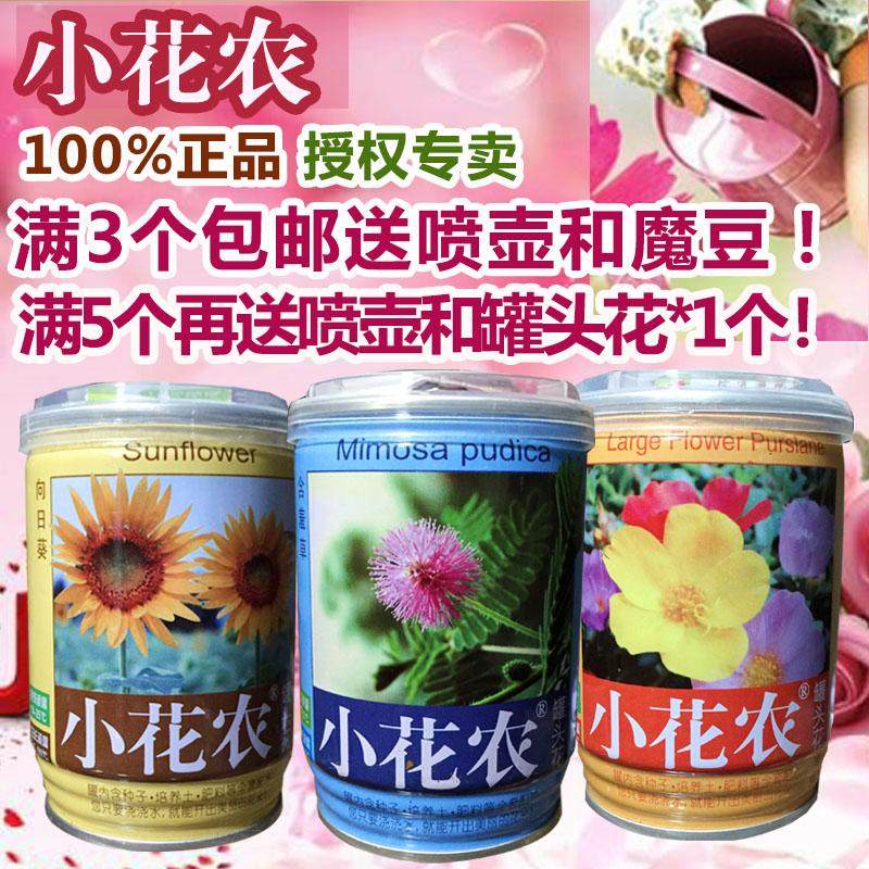 易拉罐植物价格 易拉罐植物图片 星期三