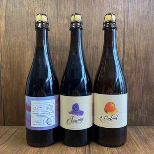 大头精酿 凯西薛定谔的时间2号 副计划合酿幸运 丝绒野菌艾尔啤酒