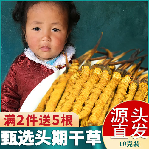 天猫精选原产地发货10克30根虫草