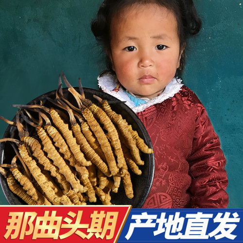 补差链接详情咨询否则不发货虫草