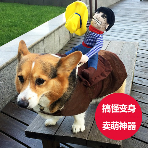 搞笑搞怪泰迪狗比熊小法斗柯基衣
