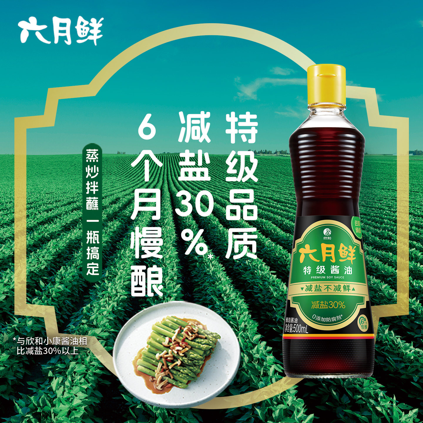 欣和六月鲜特级生抽酱油500mL炒菜凉拌6个月慢酿减盐增味提鲜