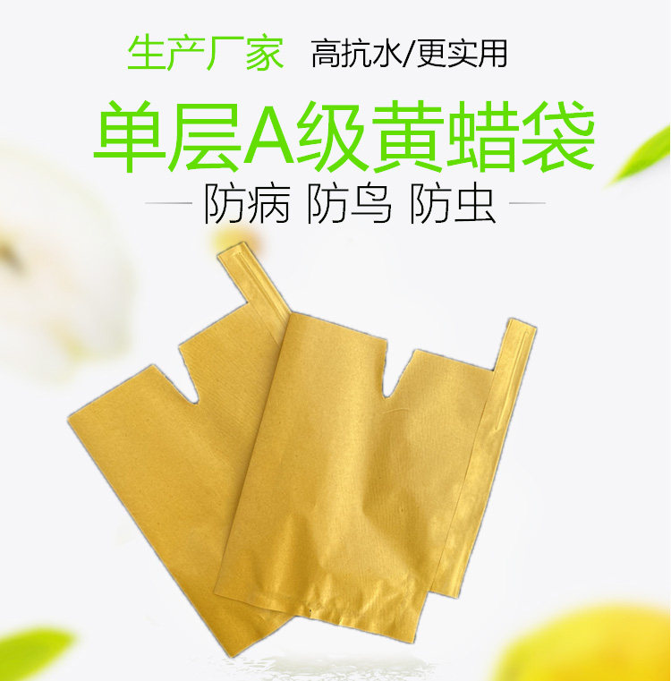 单层a级黄蜡袋黄桃专用袋水蜜桃蟠桃鹰嘴桃套袋防水防虫桃袋包邮