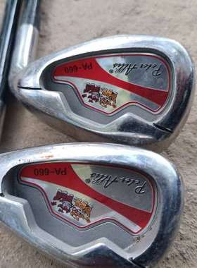 Peter Allis PA-660高尔夫球杆，8号和P号铁