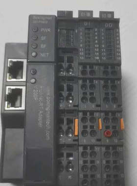 BSM 601-PN0000 V.200P 耦合器，BOxi