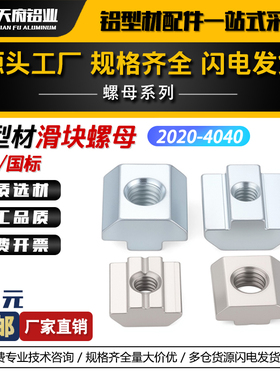 铝型材配件欧标国标滑块螺母20/30/40/45不锈钢船型T型m4m5m6m8