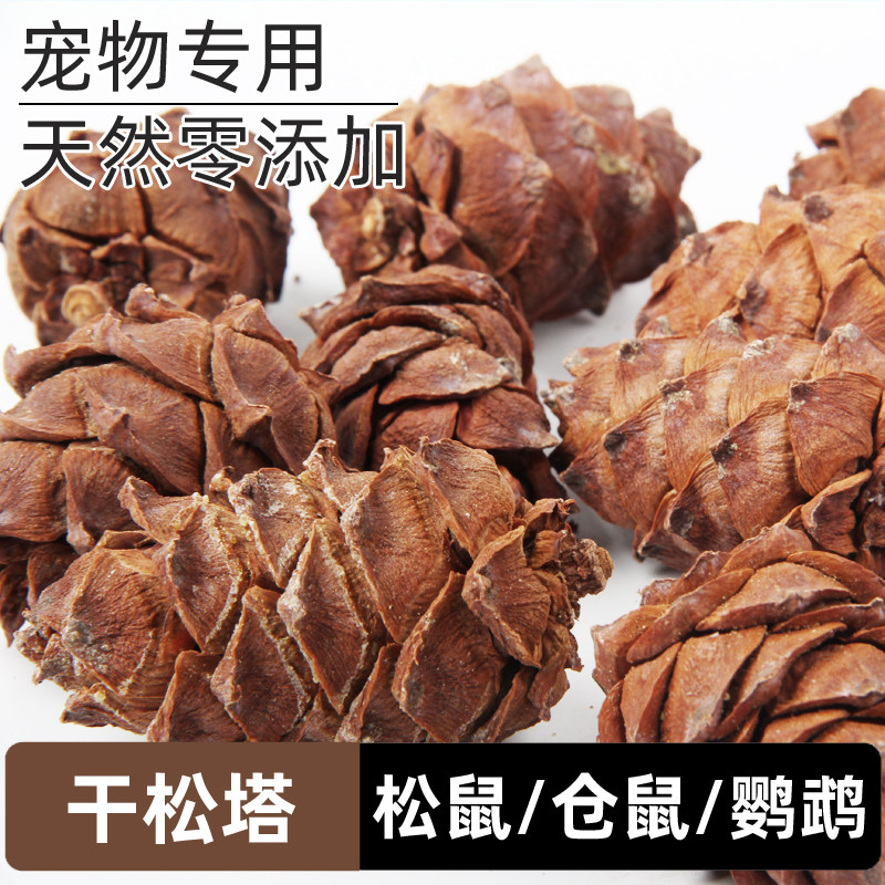 新货马尾松塔松鼠飞鼠的粮食食物马尾松子生坚果薄壳松子零食主食