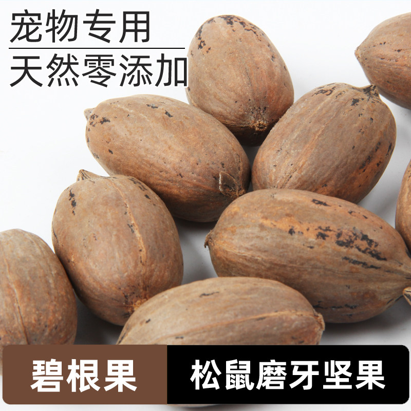 生料碧根果松鼠飞鼠的粮食饲料主食食物生坚果磨牙核桃爱吃的零食图片