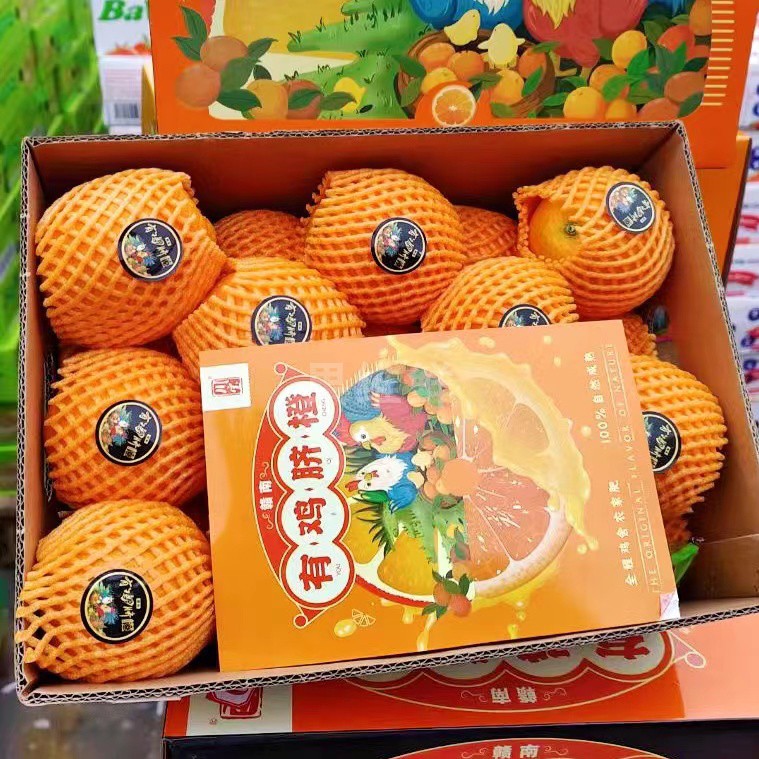 鸡粪橙口感更甜水份足橙子鸡粪