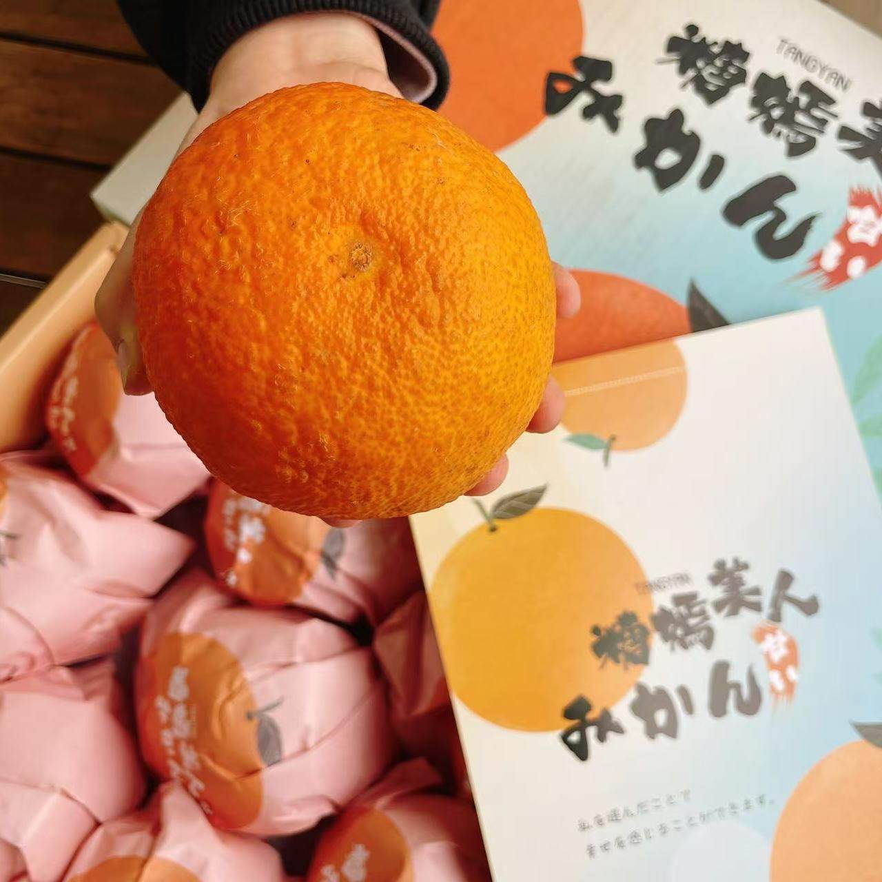 糖嫣红美人柑橘 礼盒装约6斤 当季新鲜水果蜜橘爱媛39号