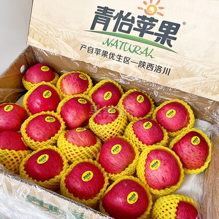 青怡洛川苹果 32颗/箱 净重15斤 应季新鲜水果 陕西特产 儿童