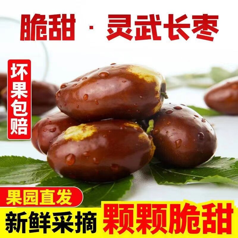宁夏优质特产鲜红枣灵武长枣甜大红枣脆甜枣新鲜现摘现发孕妇水果