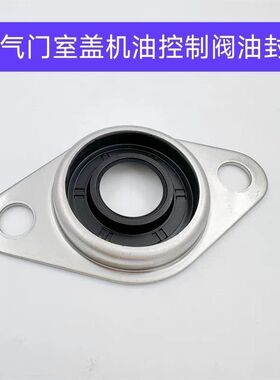 格锐雅捷恩斯科仕劳恩斯霸锐控制阀油封机油控制阀油封cvvt密封圈