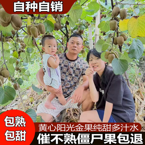 顺丰送到家纯甜猕猴桃黄心现摘发