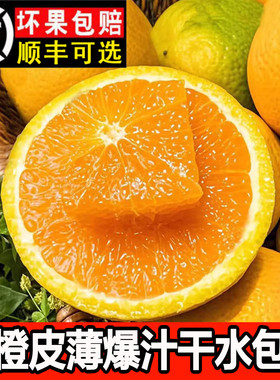 夏橙秭归薄皮当季现摘榨汁橙子新鲜水果多汁整箱手剥橙非伦晚甜橙