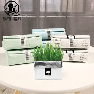 未卡网红猫草包装种籽盆栽化毛已种好水培种植猫咪用品猫薄荷草