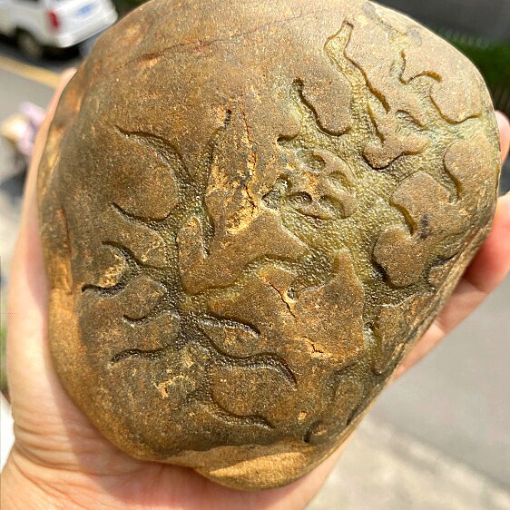 特*清仓】老坑大块大马坎水石开窗黄翡手把件大牌子色料翡翠原石