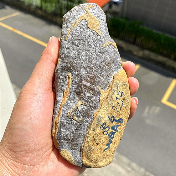 冰糯种黄翡手把件开窗天然缅甸翡翠原石老场口大马坎水石皮壳色料