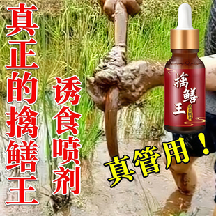 轻松诱黄鳝药水专诱黄鳝小药活捉黄鳝鳝鱼专用诱饵高浓度诱食剂