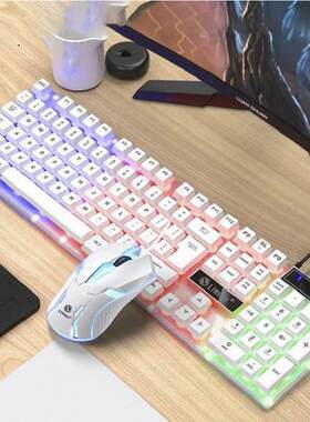 力镁GTX300键鼠套装新款白色七彩发光USB键盘鼠标游戏背光套件