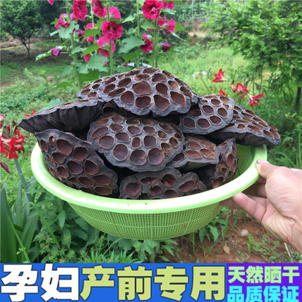 精品干莲蓬头孕妇食用莲房无硫莲子壳莲蓬壳黑豆非中药去胎毒入药