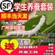 蚕宝宝活体幼虫蚕子蚕卵蚕种嫩桑叶新鲜春蚕天然金丝学生养蚕套装