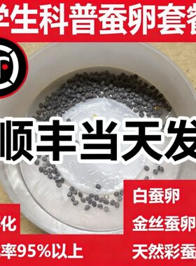 蚕卵科普金丝蚕卵全国包邮送桑叶