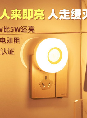 晚畔2W/1W人体智能感应灯家用过道插座灯夜间起夜卫生间自动夜灯