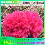 Meihong La La La La La La Team Shook Flowers La La La La Lam Ball School Gymnastics Dance Props Square Dance