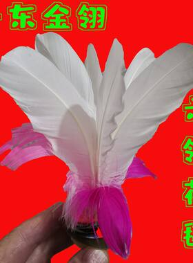 毽子耐踢毽球金丹·东龙