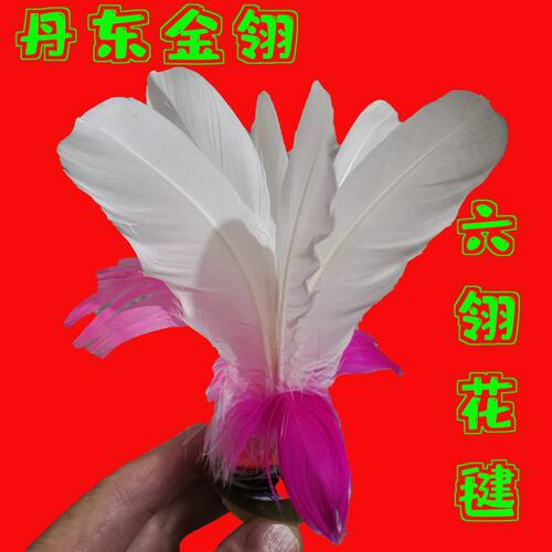 毽子耐踢毽球金丹·东龙