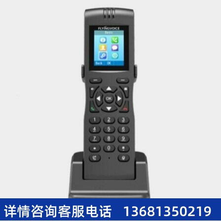 FLYINGVOICE飞音时代手持式双频无线SIP电话机 FIP16plus无绳话机